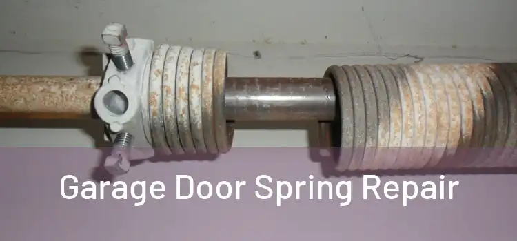  Garage Door Spring Repair 