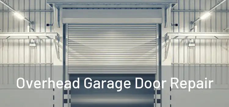  Overhead Garage Door Repair 